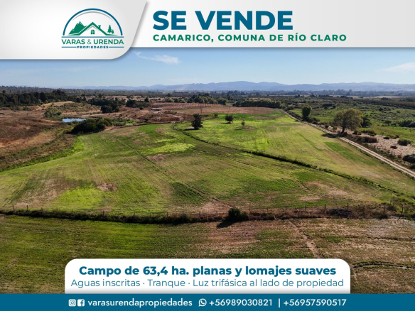 Se Vende campo de 63,4 hectáreas en Camarico, comuna de Río Claro