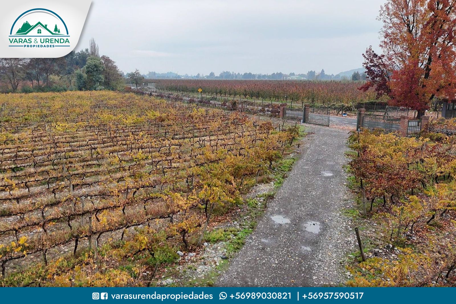 Se Vende o Arrienda propiedad agroindustrial de 2 hectáreas