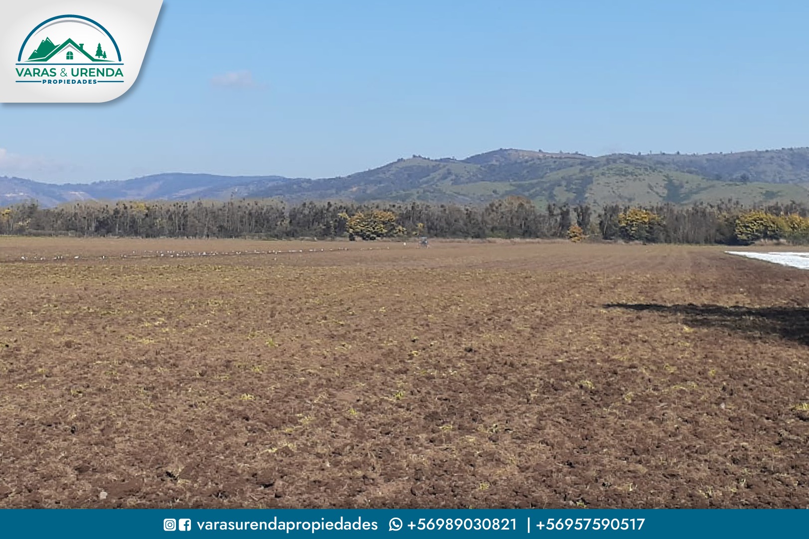 Se Vende parcela de 16,1 hás. en La Huerta Mataquito, Sector el Buche