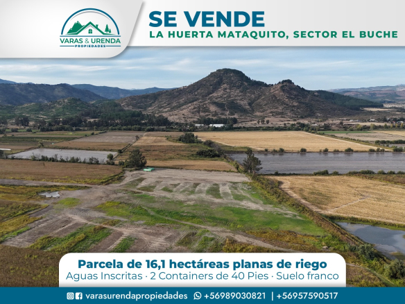Se Vende parcela de 16,1 hás. en La Huerta Mataquito, Sector el Buche