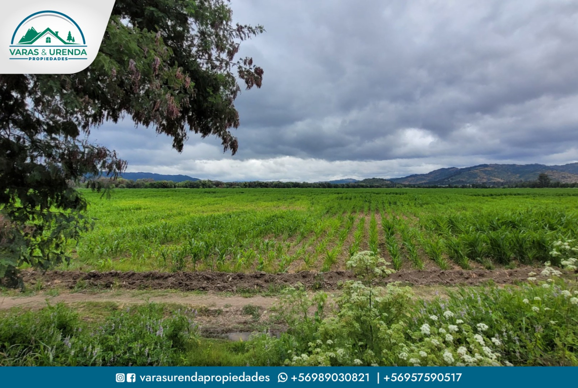 Se Vende parcela de 16,1 hás. en La Huerta Mataquito, Sector el Buche