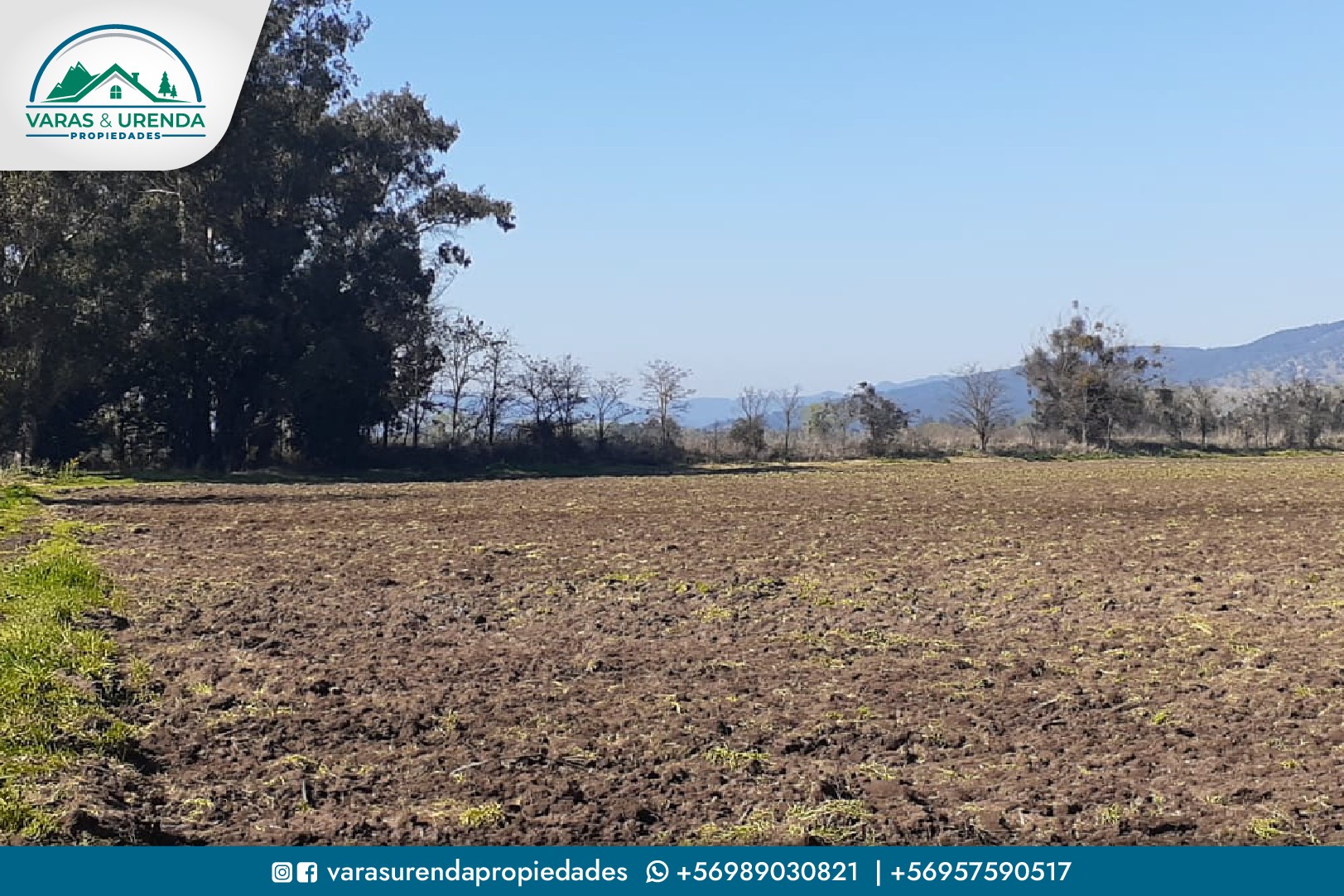 Se Vende parcela de 16,1 hás. en La Huerta Mataquito, Sector el Buche