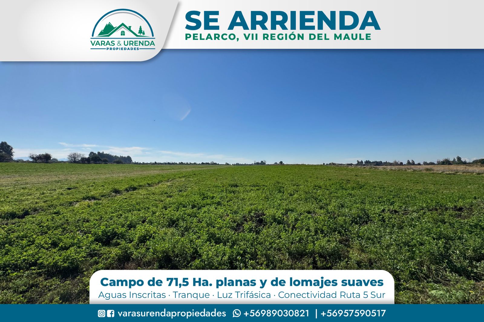 Se Arrienda excelente campo de 71,5 hectáreas en Pelarco, VII Región del Maule