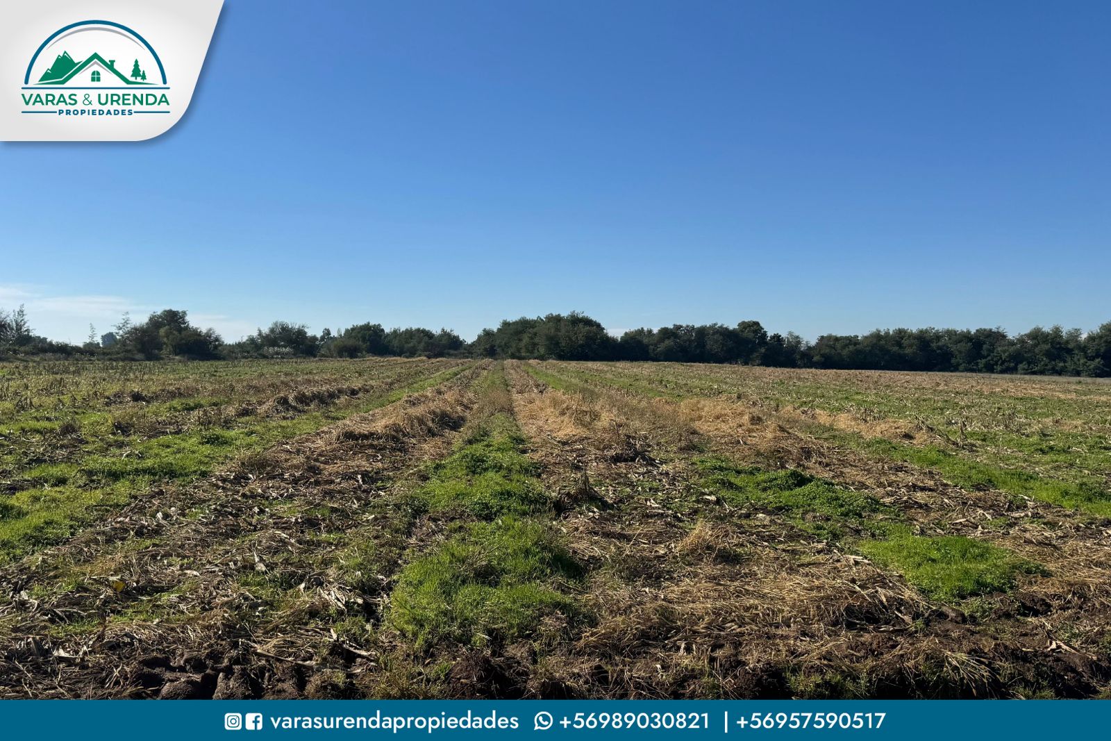 Se Arrienda excelente campo de 71,5 hectáreas en Pelarco, VII Región del Maule
