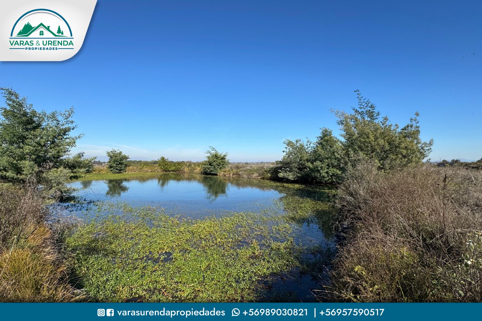 Se Arrienda excelente campo de 71,5 hectáreas en Pelarco, VII Región del Maule
