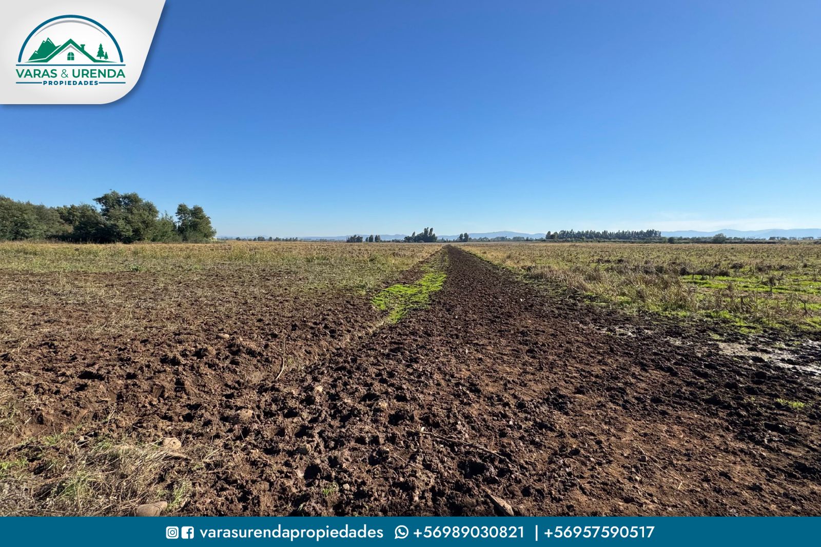 Se Arrienda excelente campo de 71,5 hectáreas en Pelarco, VII Región del Maule