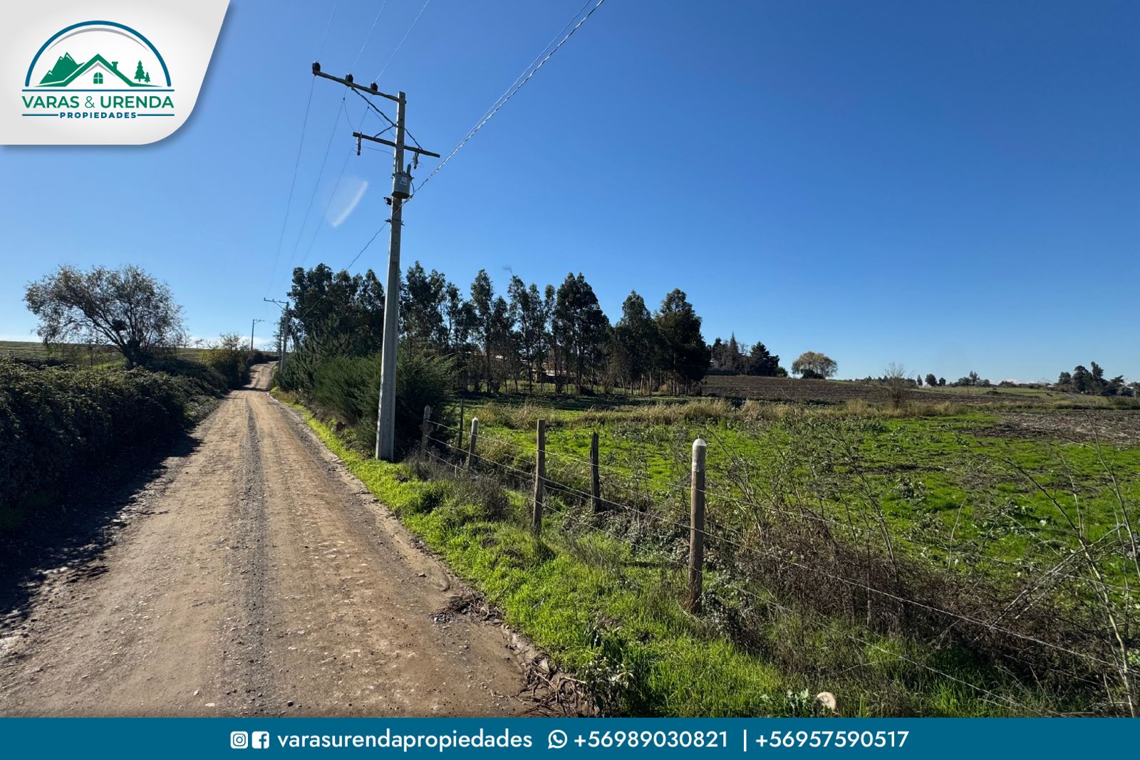 Se Arrienda excelente campo de 71,5 hectáreas en Pelarco, VII Región del Maule