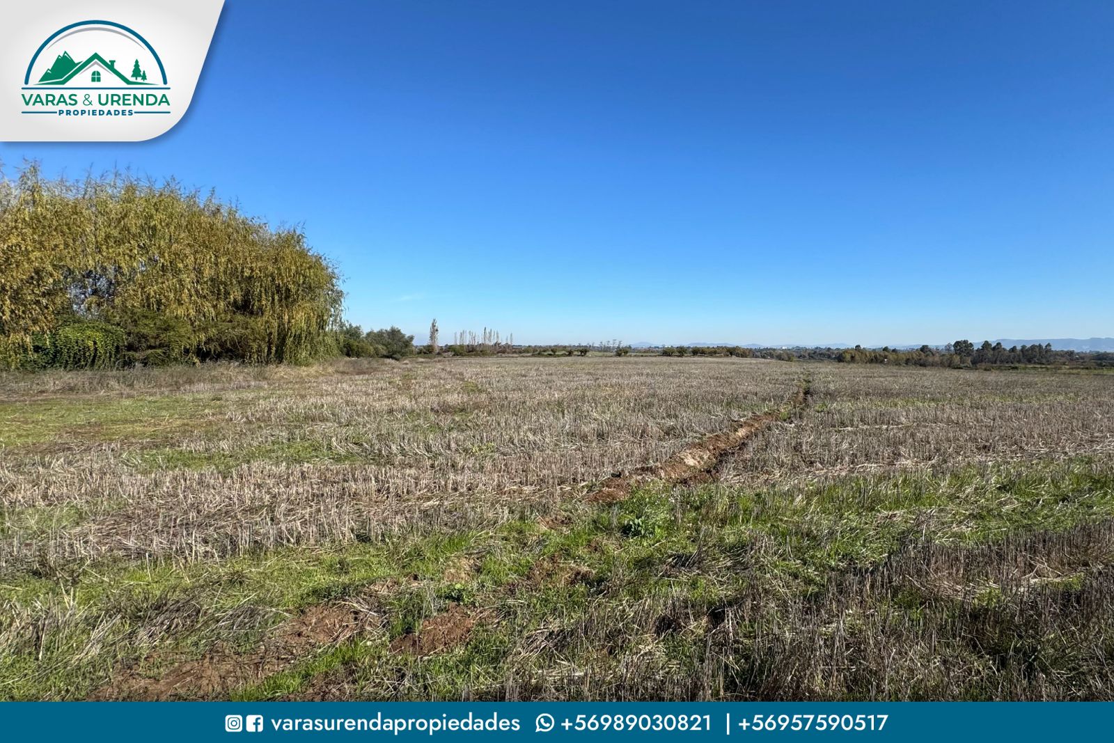 Se Arrienda excelente campo de 71,5 hectáreas en Pelarco, VII Región del Maule