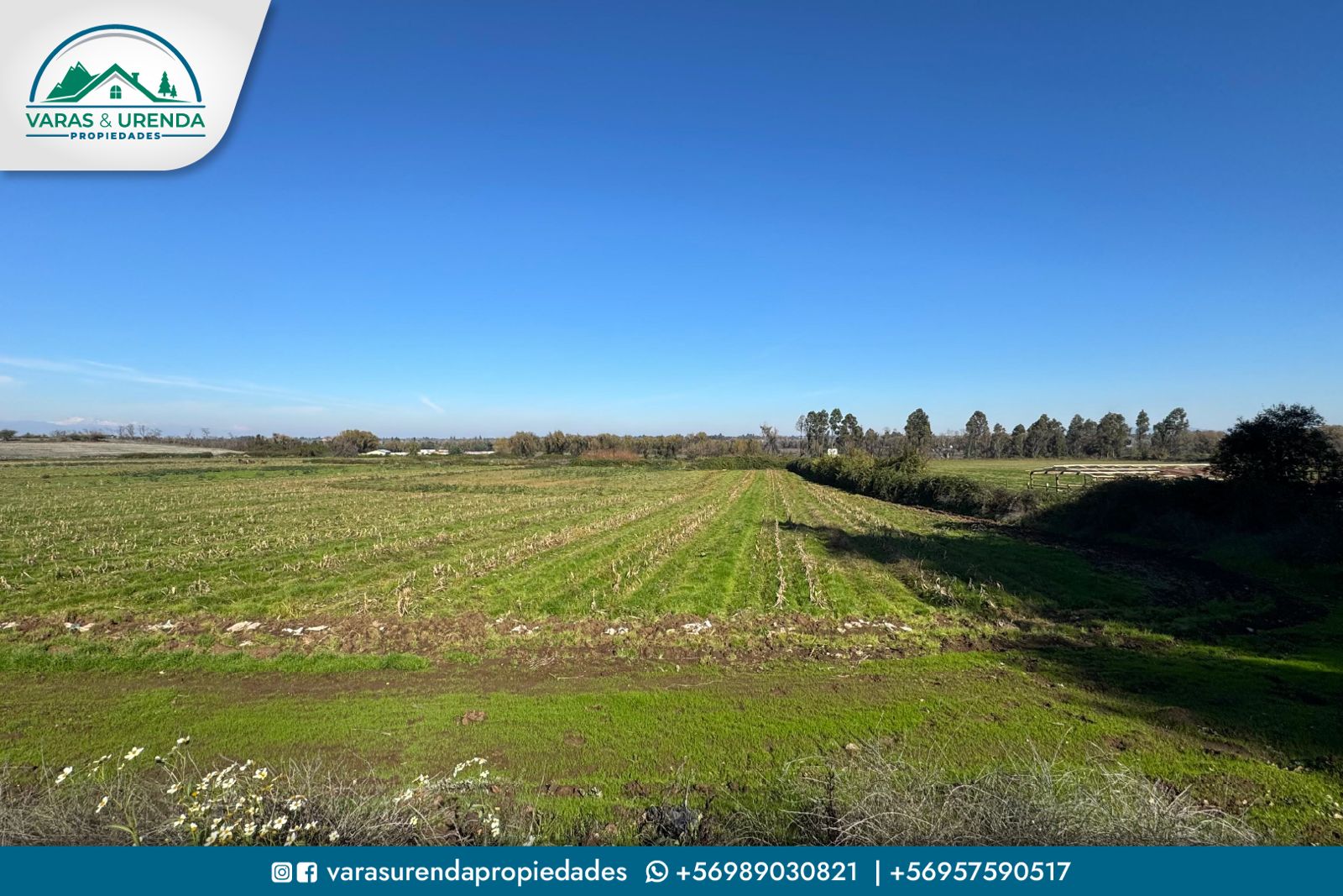 Se Arrienda excelente campo de 71,5 hectáreas en Pelarco, VII Región del Maule