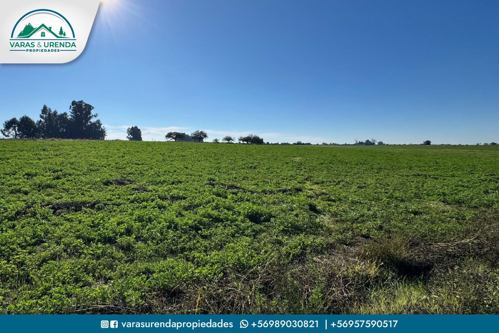 Se Arrienda excelente campo de 71,5 hectáreas en Pelarco, VII Región del Maule