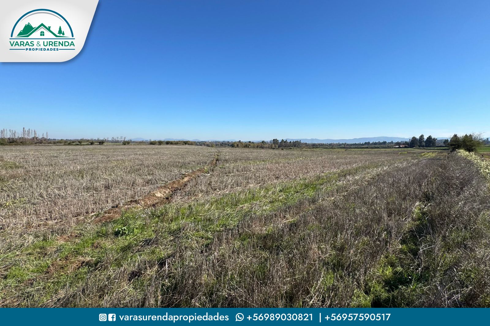 Se Arrienda excelente campo de 71,5 hectáreas en Pelarco, VII Región del Maule