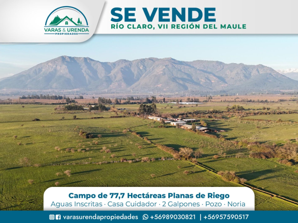 Se Vende excelente campo de 77,7 hás. en Río Claro, VII Región del Maule