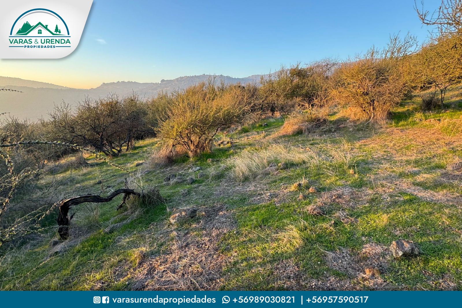 Se Vende excelente sitio de 5.471 m2 en Casa Parque, Curicó