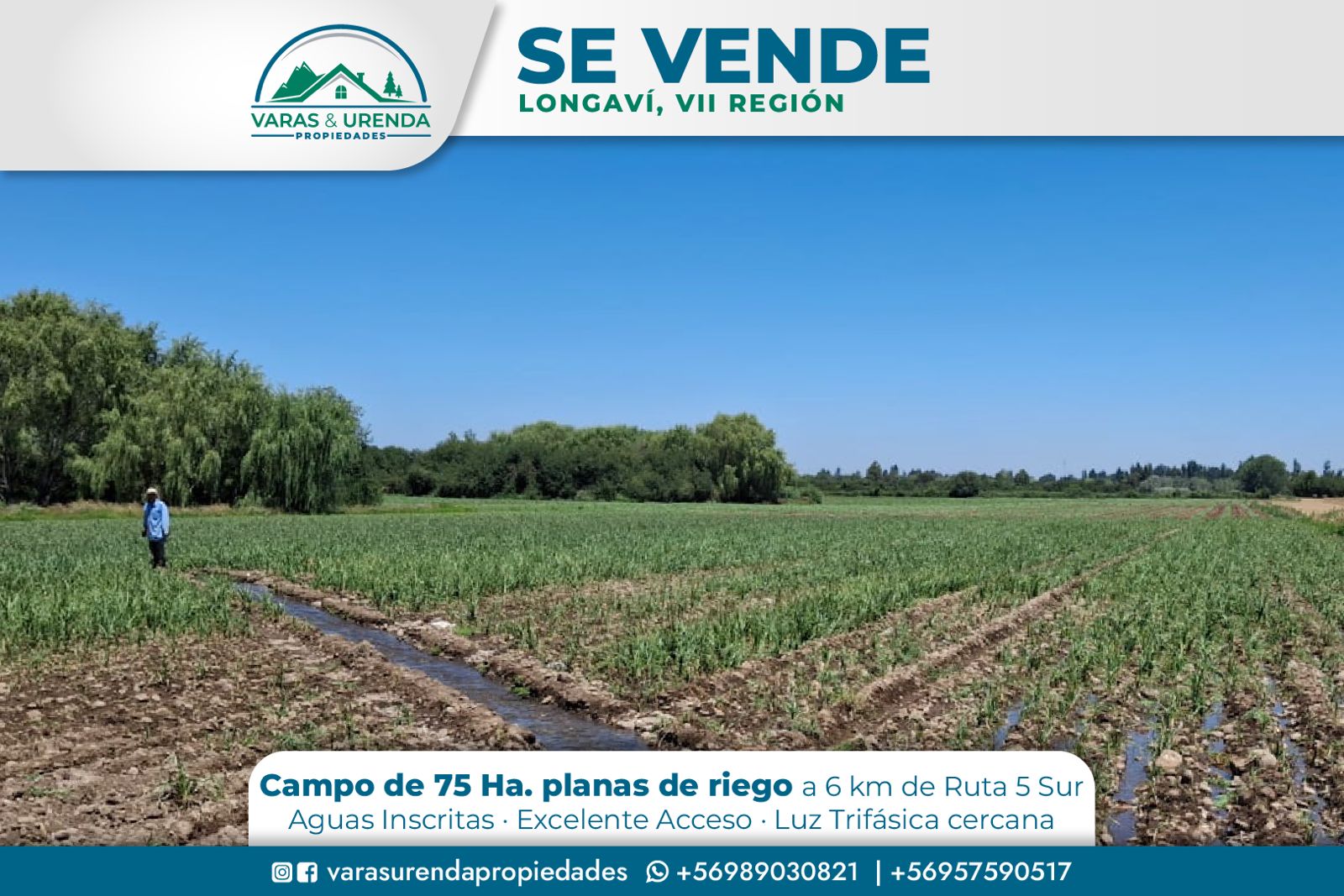 Se Vende campo de 75 hectáreas en Longaví, VII Región
