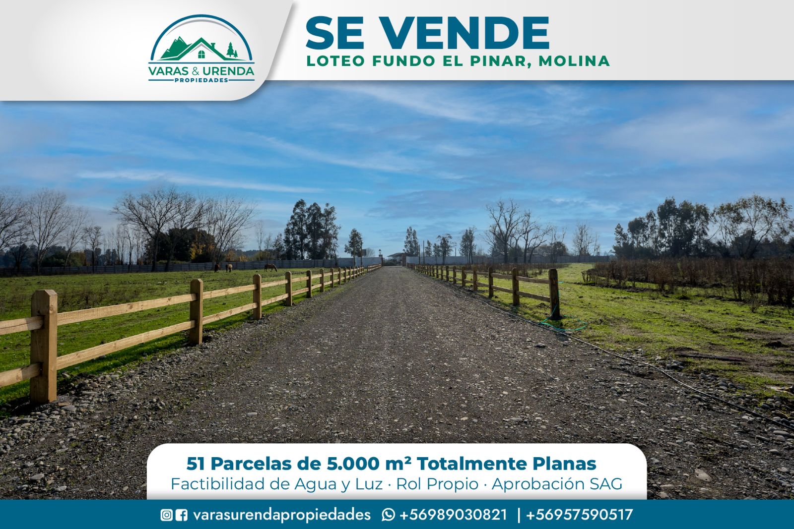 Se Venden parcelas de 5.000 m2 en Loteo Fundo el Pinar, Molina