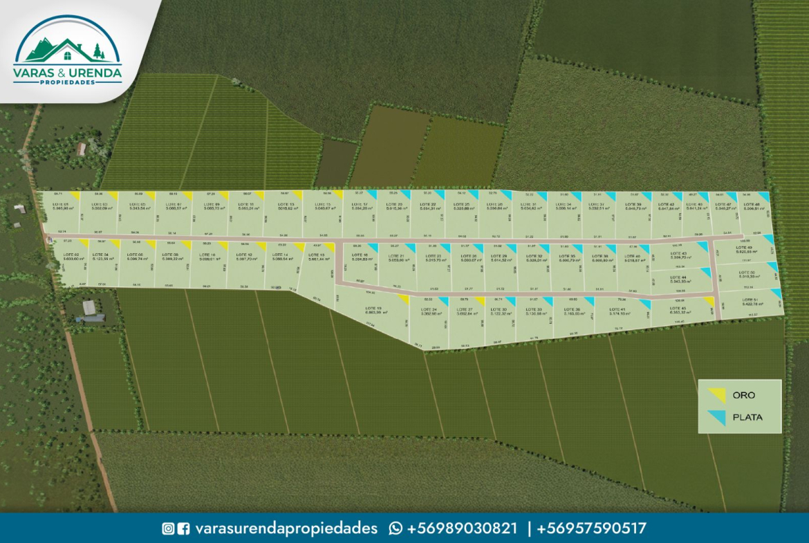 Se Venden parcelas de 5.000 m2 en Loteo Fundo el Pinar, Molina