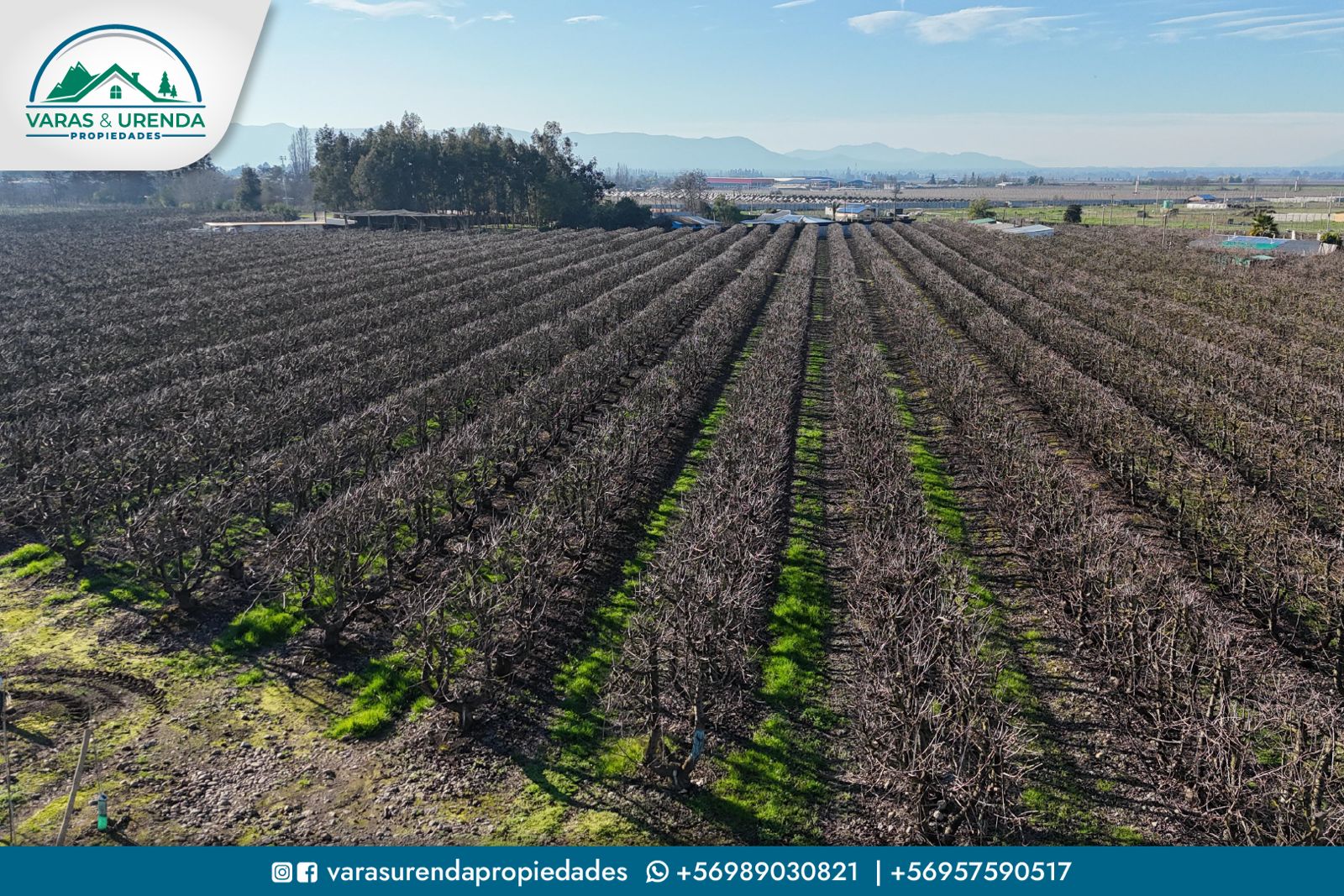 Se Vende linda parcela agrícola de 16,6 hás. en Morza, VII Región del Maule