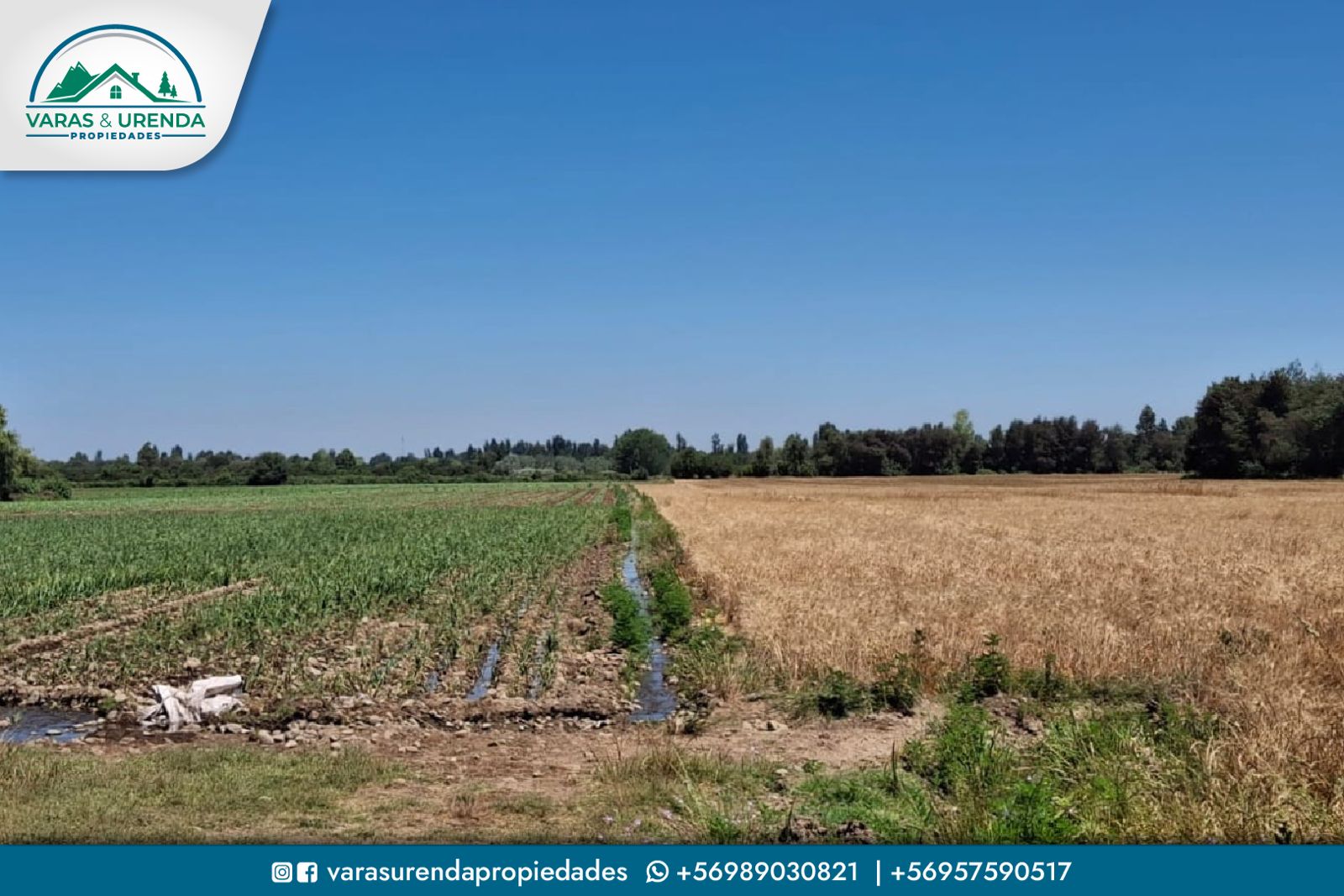 Se Vende campo de 75 hectáreas en Longaví, VII Región