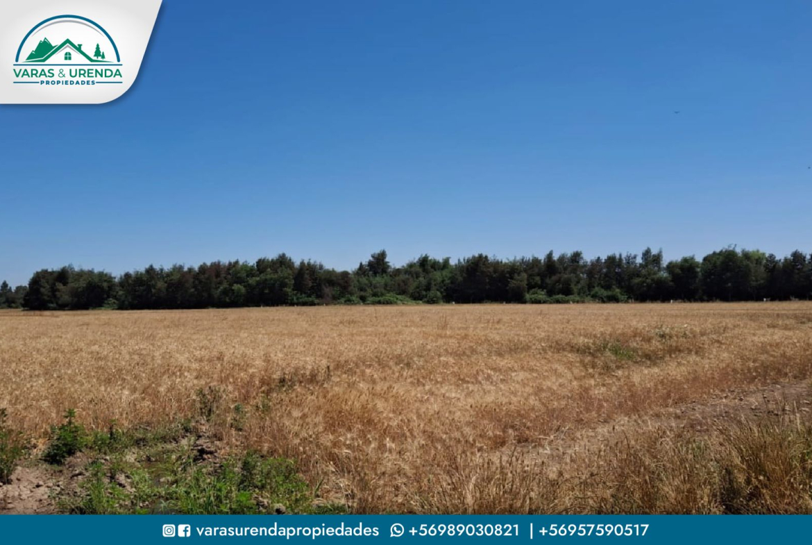 Se Vende campo de 75 hectáreas en Longaví, VII Región