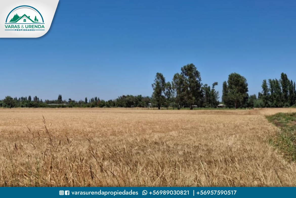 Se Vende campo de 75 hectáreas en Longaví, VII Región