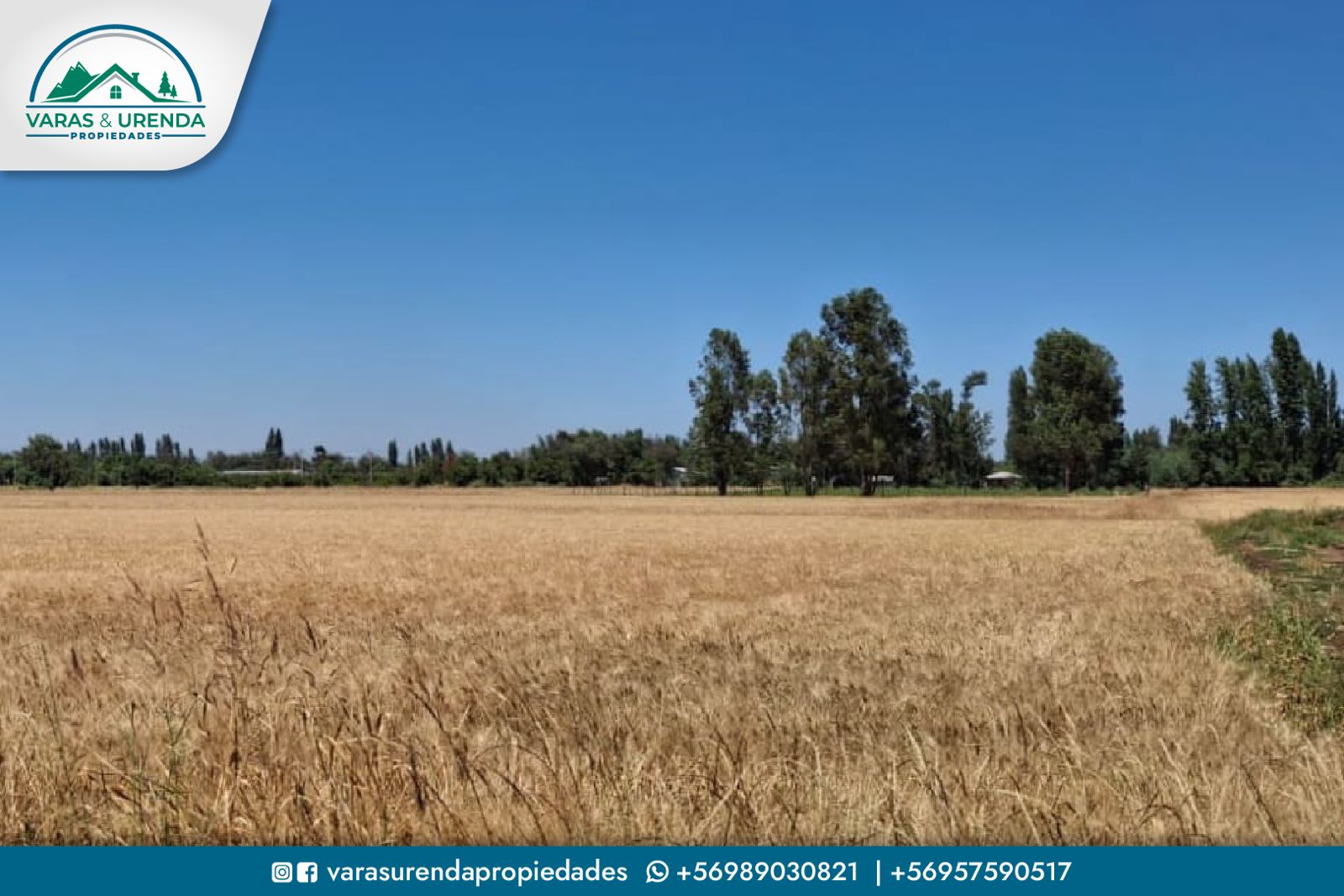Se Vende campo de 75 hectáreas en Longaví, VII Región