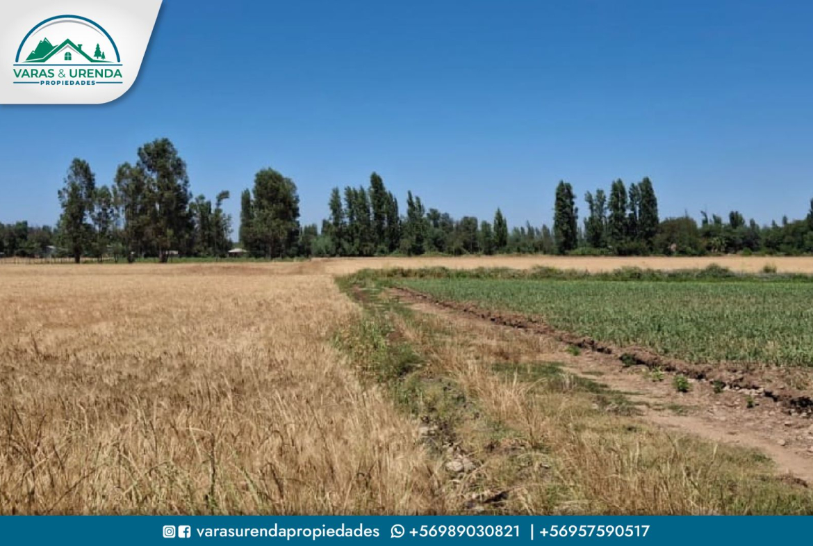 Se Vende campo de 75 hectáreas en Longaví, VII Región