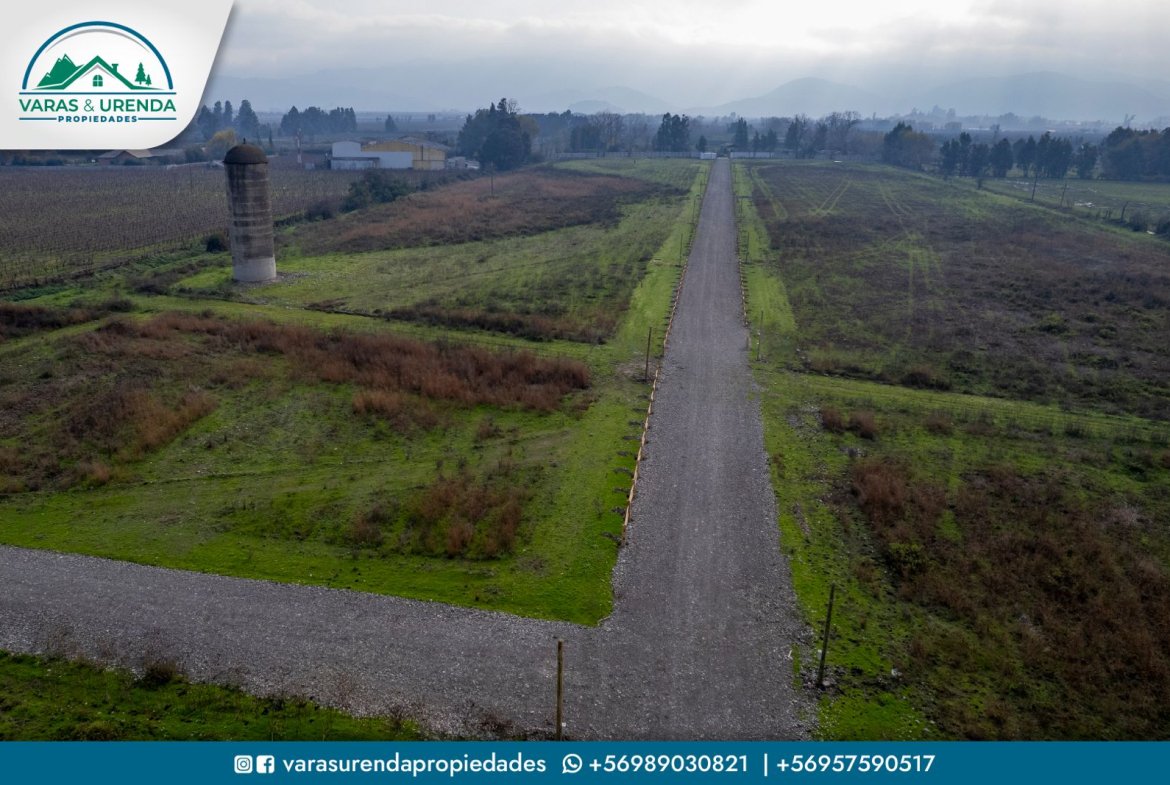 Se Venden parcelas de 5.000 m2 en Loteo Fundo el Pinar, Molina