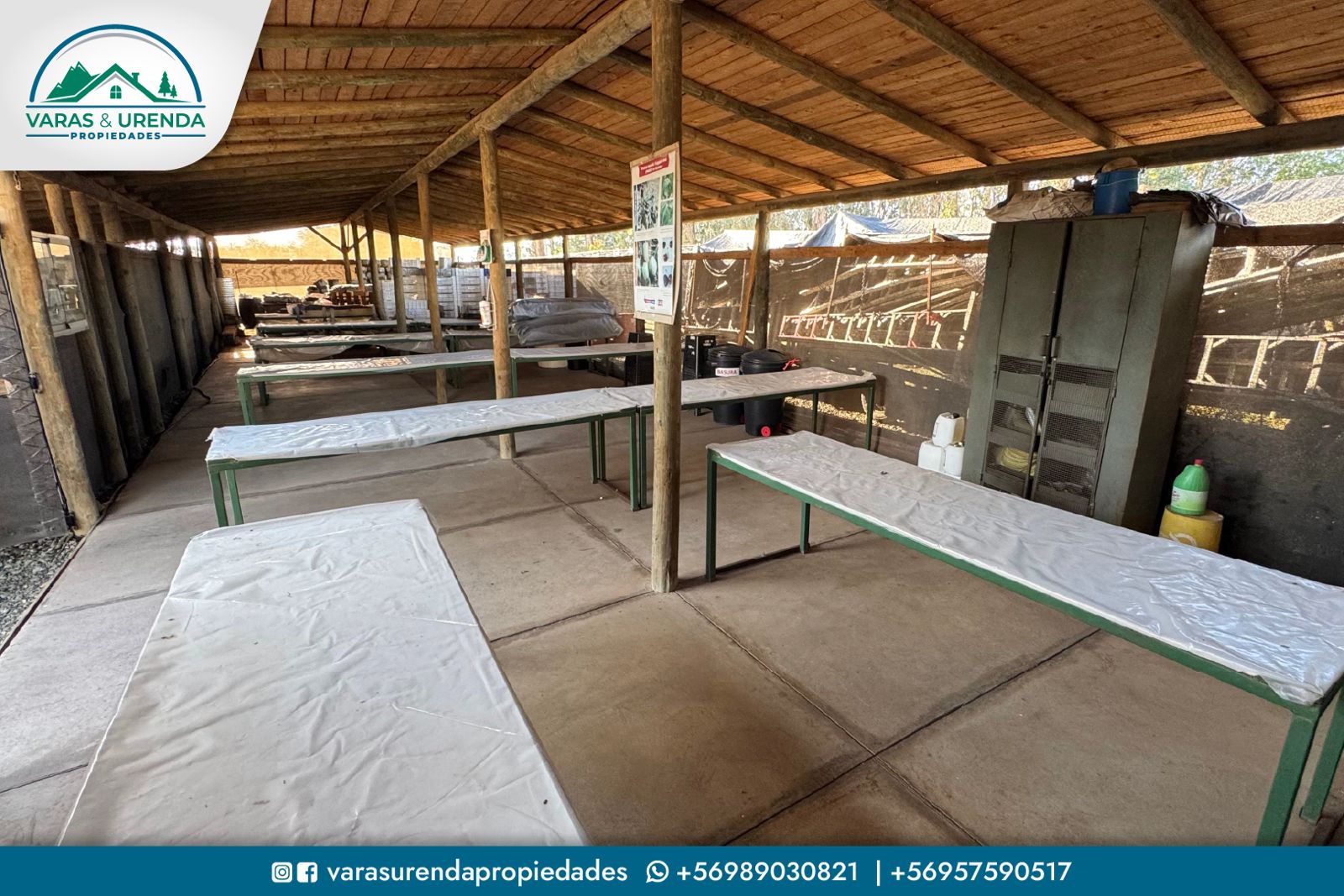 Se Vende linda parcela agrícola de 16,6 hás. en Morza, VII Región del Maule