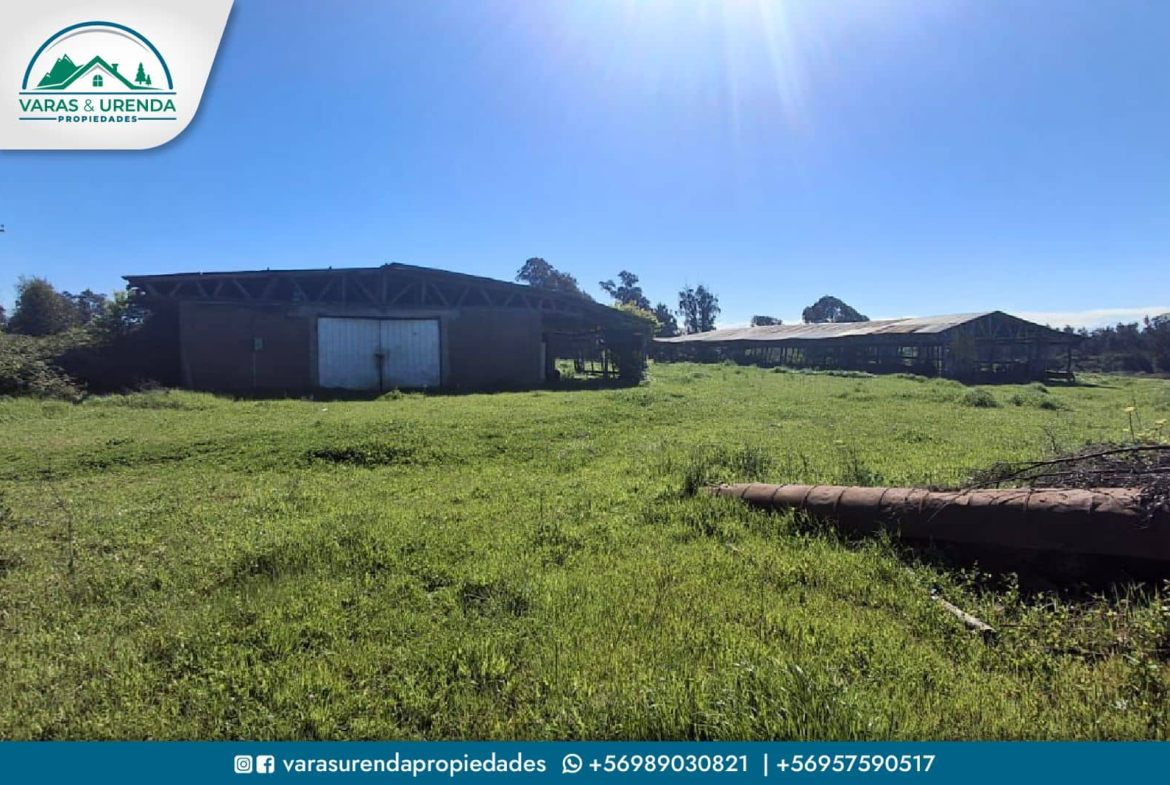 Se Vende excelente Campo 82 hás en Longaví, VII Región