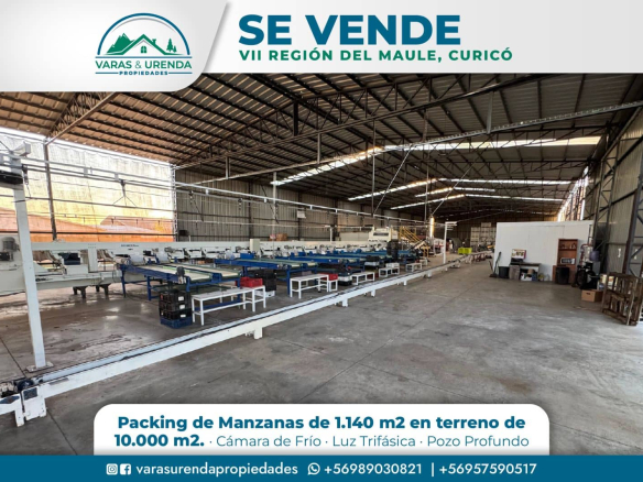 Se Vende excelente Packing de manzanas en VII Región del Maule