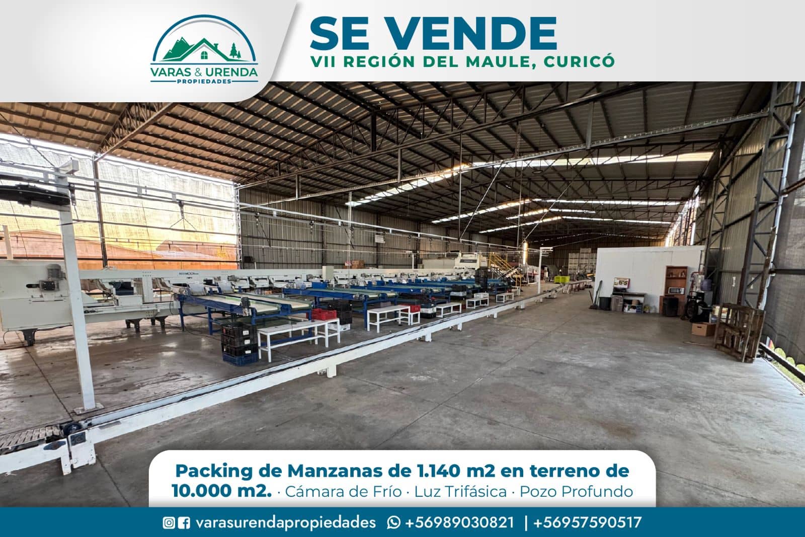 Se Vende excelente Packing de manzanas en VII Región del Maule