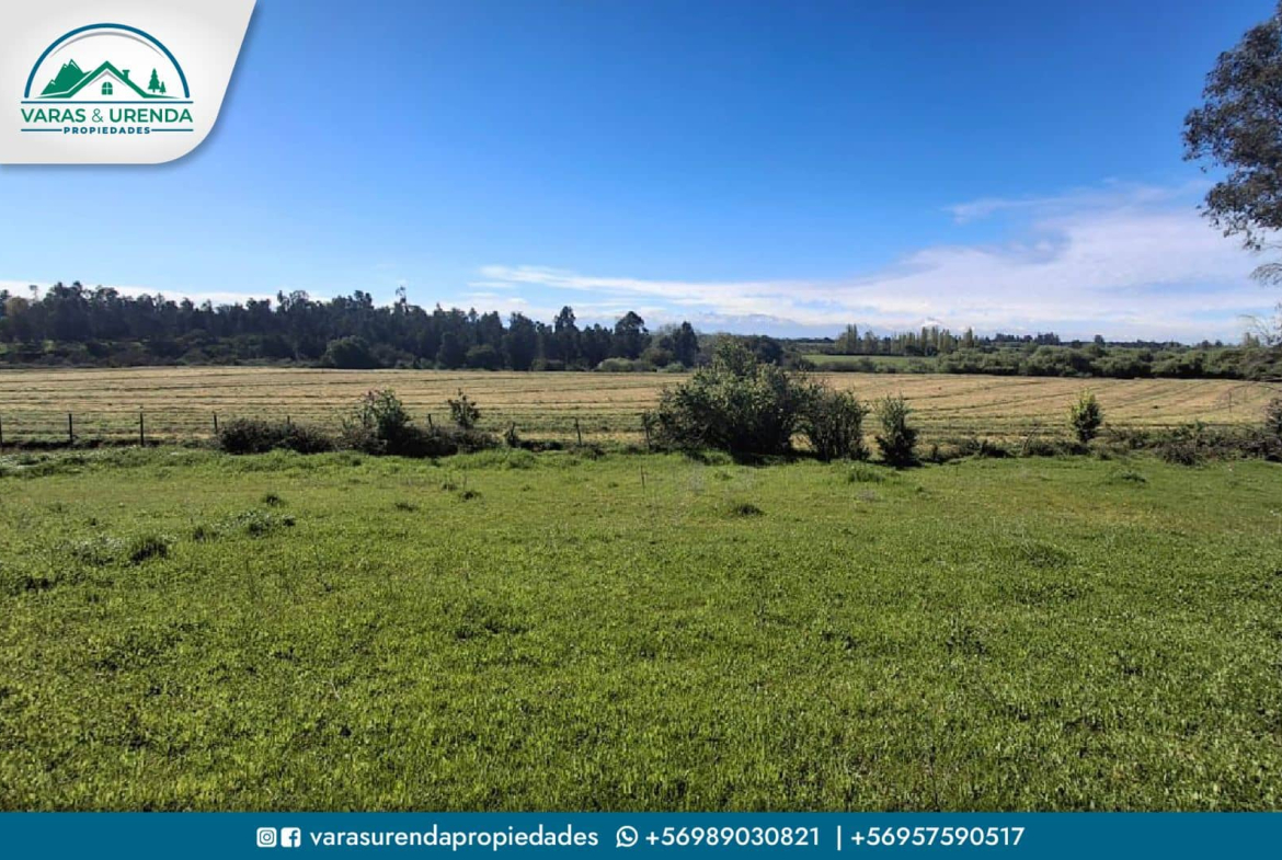 Se Vende excelente Campo 82 hás en Longaví, VII Región