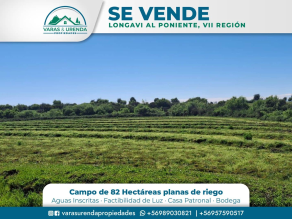Se Vende excelente Campo 82 hás en Longaví, VII Región