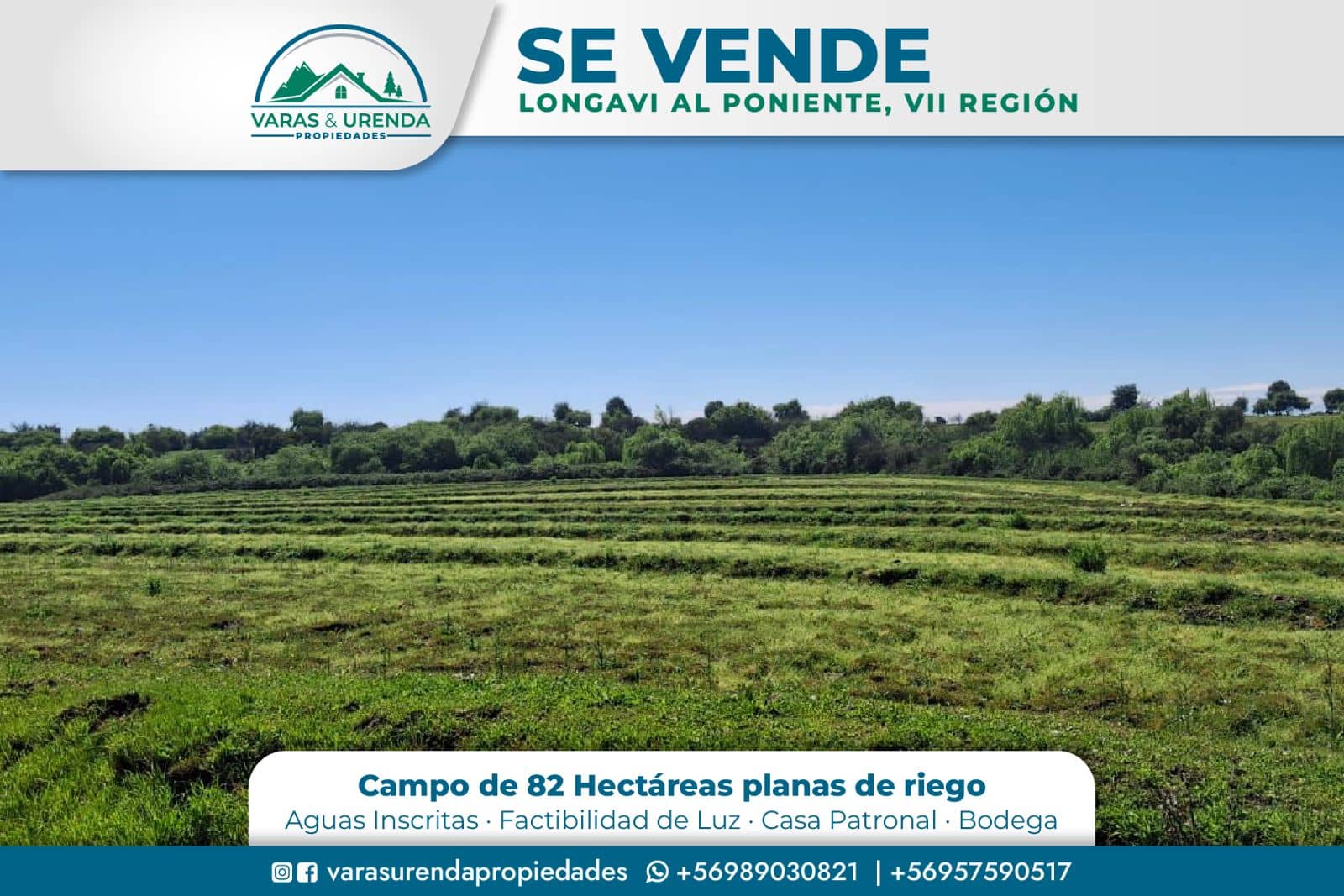 Se Vende excelente Campo 82 hás en Longaví, VII Región
