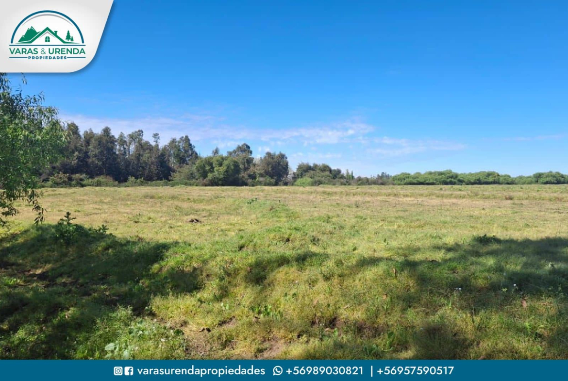 Se Vende excelente Campo 82 hás en Longaví, VII Región