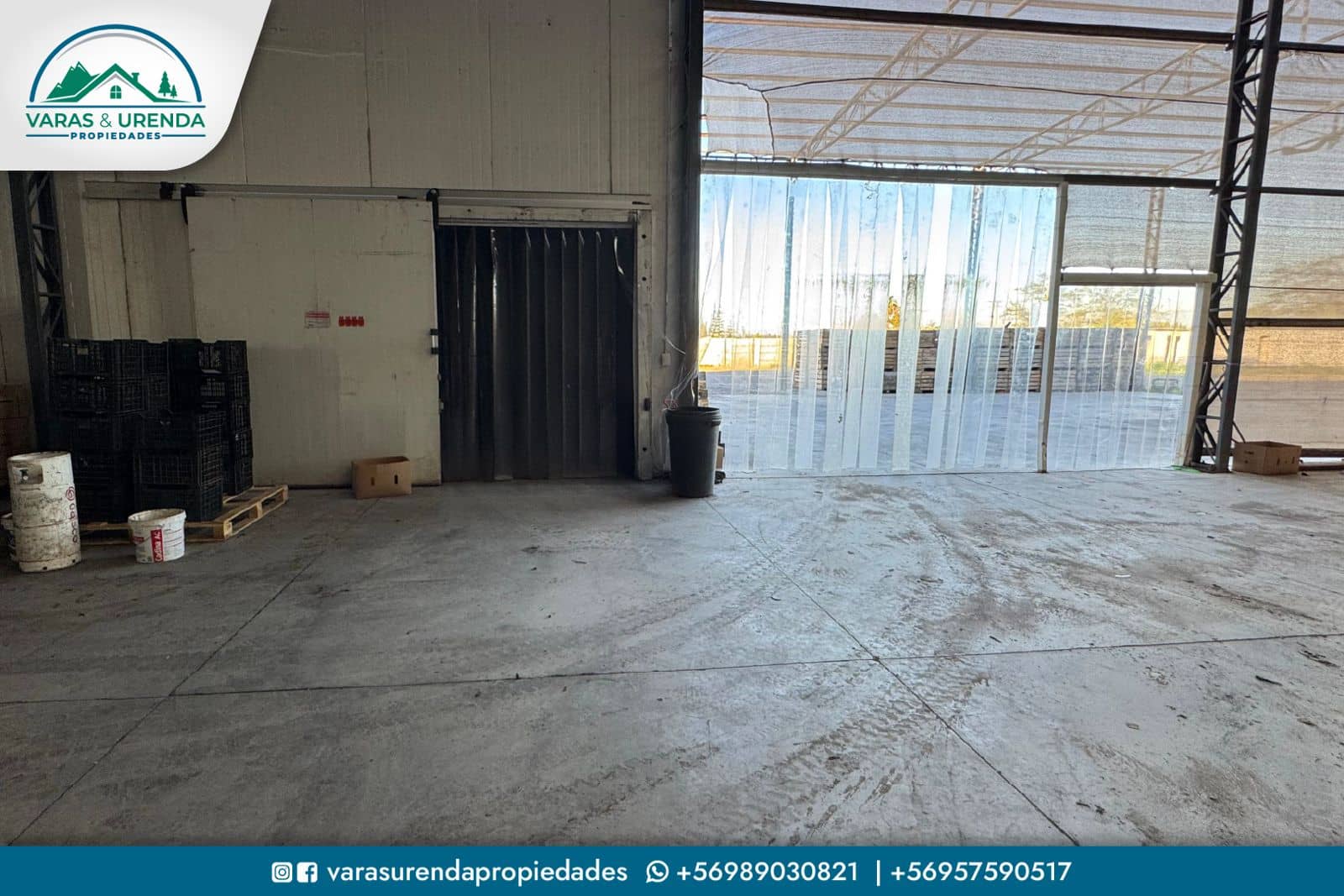 Se Vende excelente Packing de manzanas en VII Región del Maule