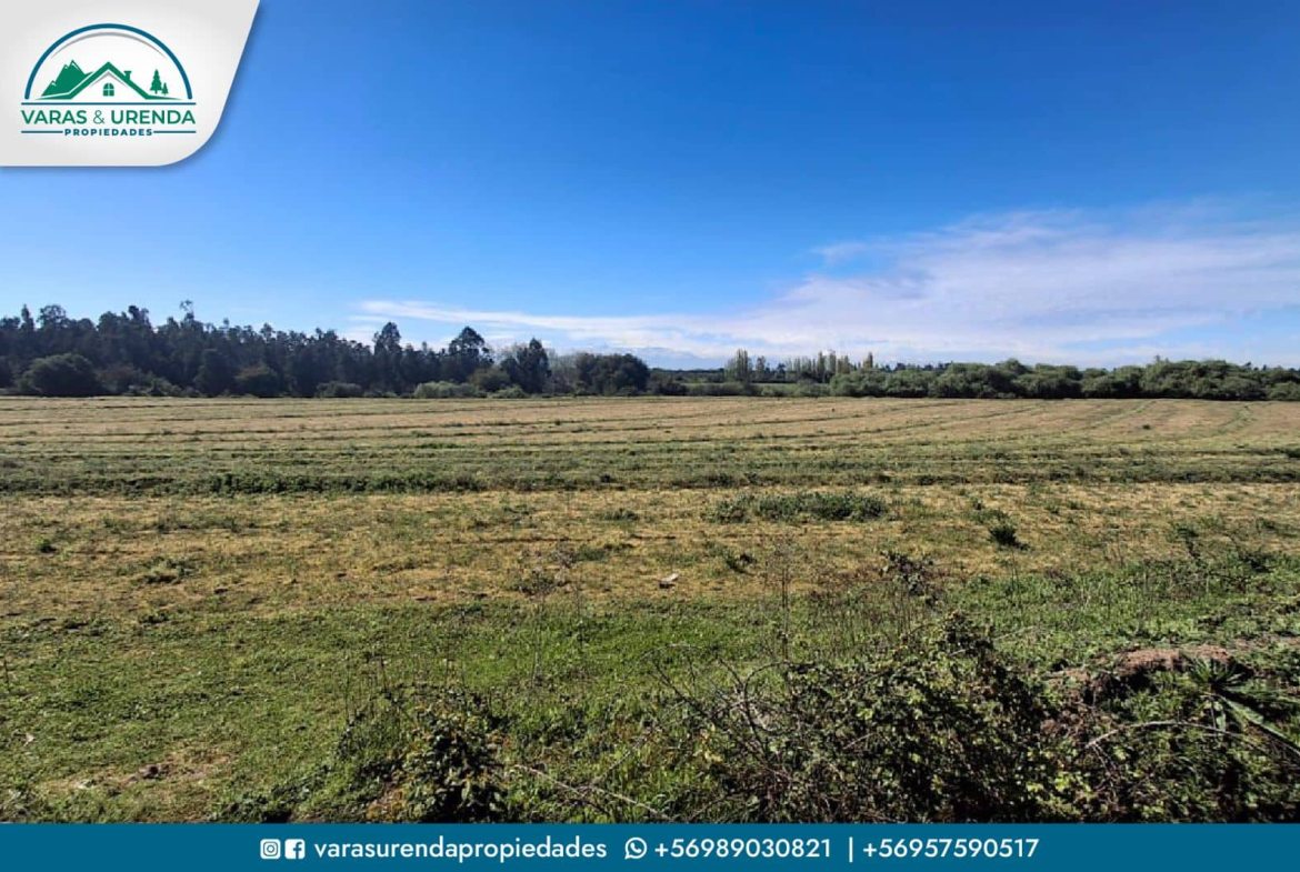 Se Vende excelente Campo 82 hás en Longaví, VII Región