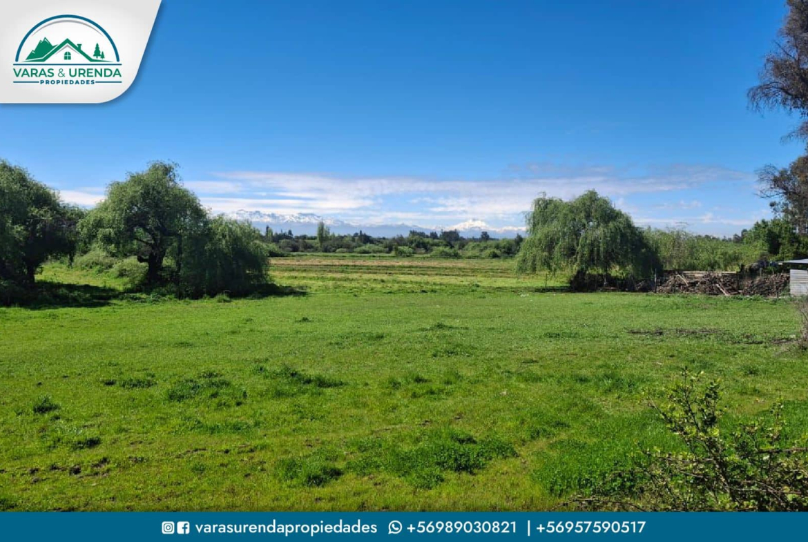Se Vende excelente Campo 82 hás en Longaví, VII Región