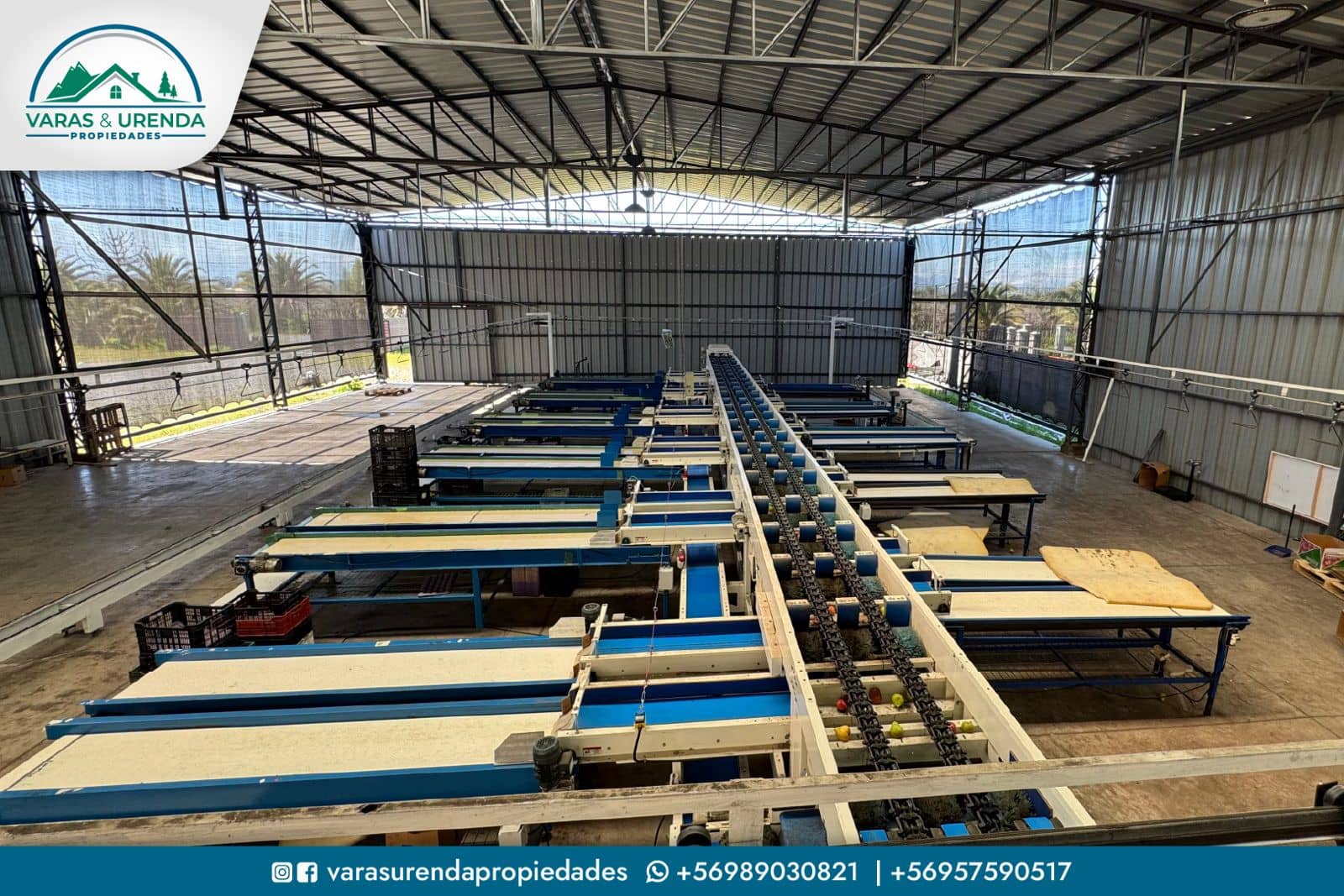 Se Vende excelente Packing de manzanas en VII Región del Maule