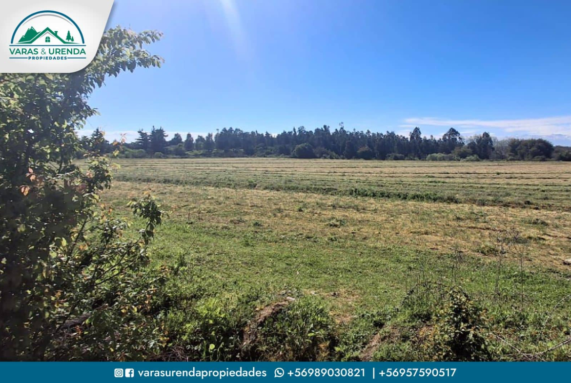 Se Vende excelente Campo 82 hás en Longaví, VII Región