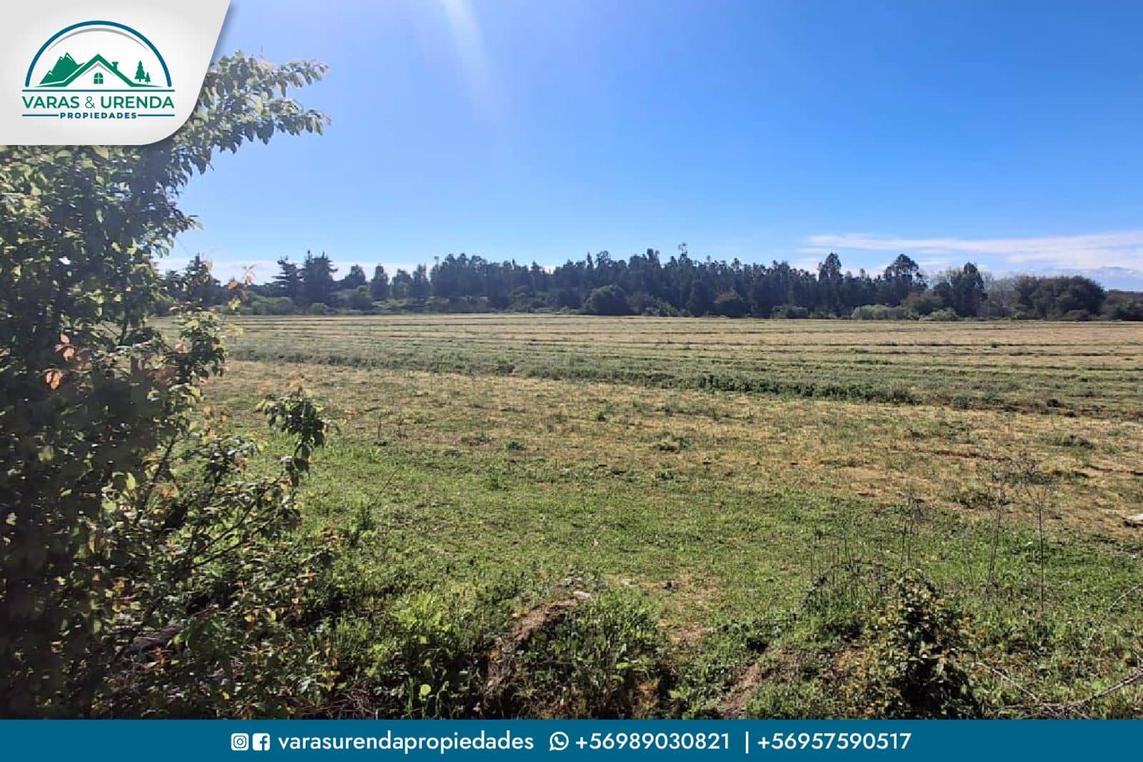 Se Vende excelente Campo 82 hás en Longaví, VII Región