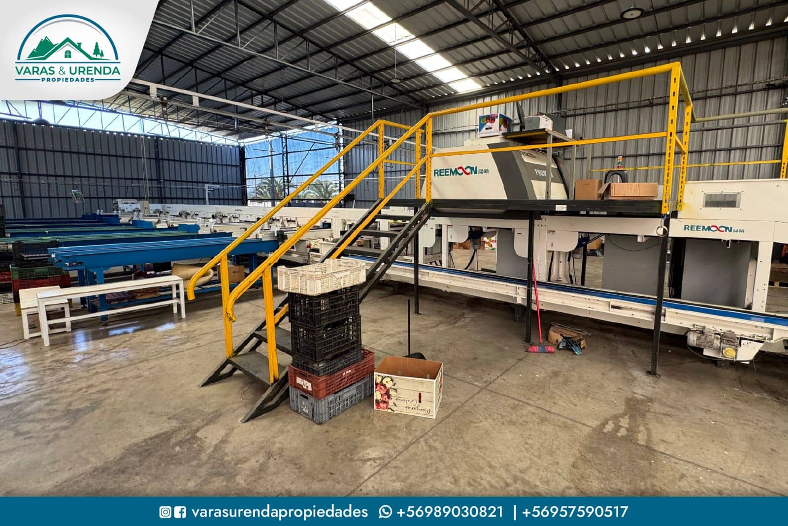 Se Vende excelente Packing de manzanas en VII Región del Maule