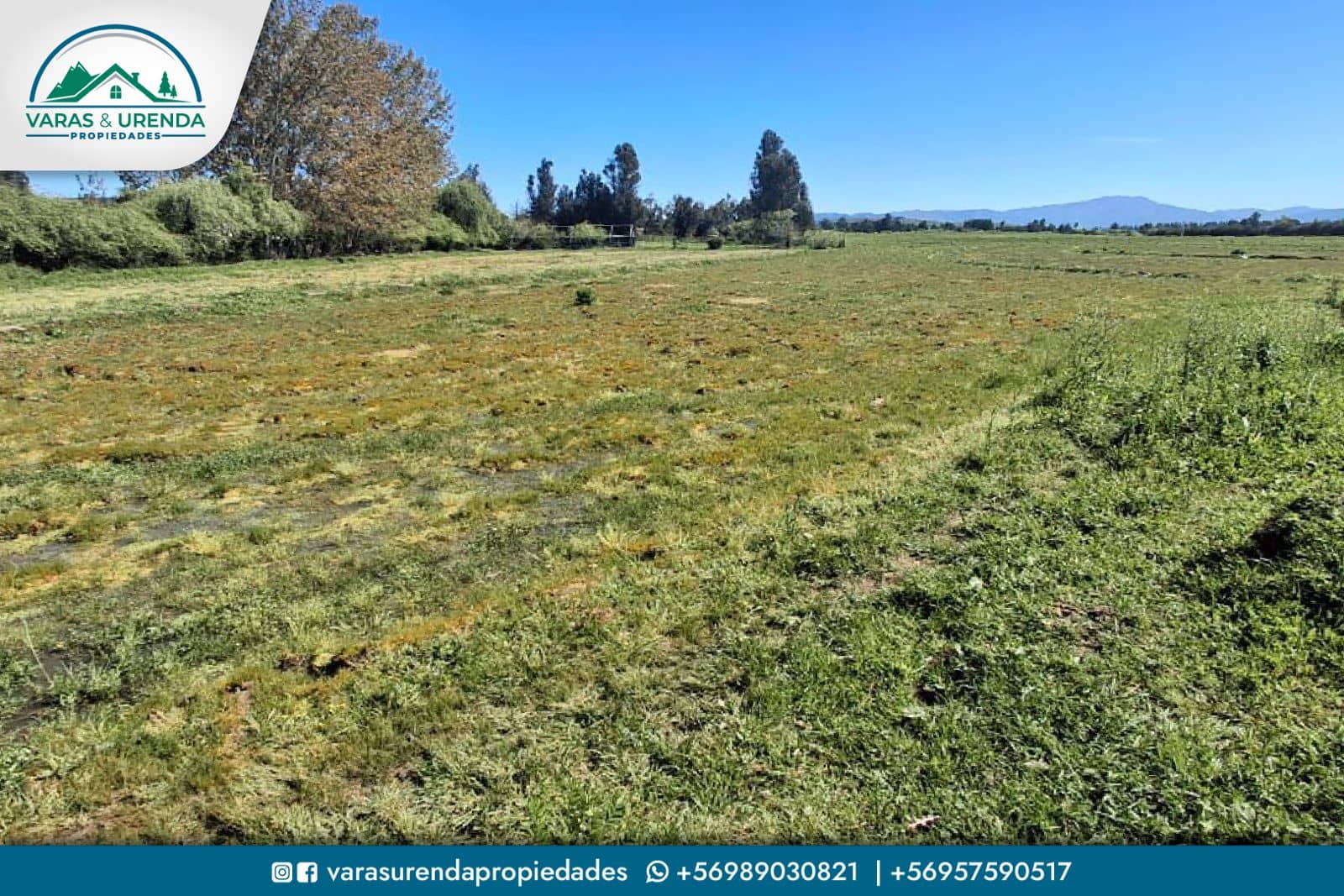 Se Vende excelente Campo 82 hás en Longaví, VII Región