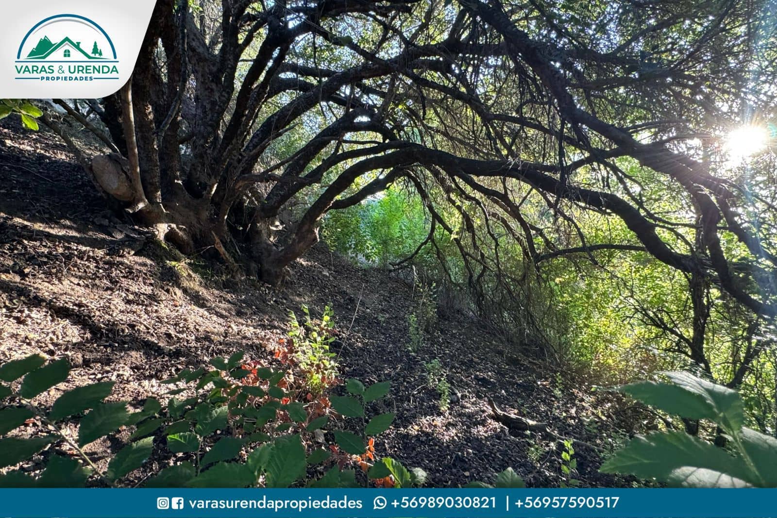 Se Vende sitio 5.100 m2 con una vista espectacular en Hacienda Zapallar, Curicó