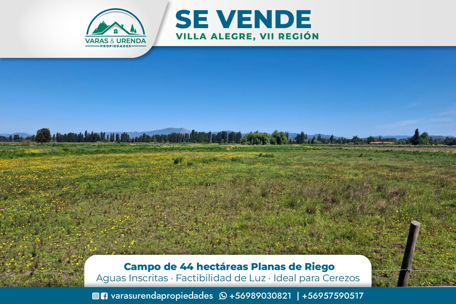 Se Vende campo de 44 hectáreas planas de riego en Villa Alegre, VII Región