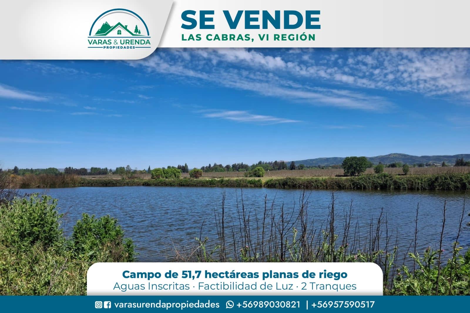 Se Vende campo de 51,7 hectáreas planas de riego en Las Cabras, VII Región