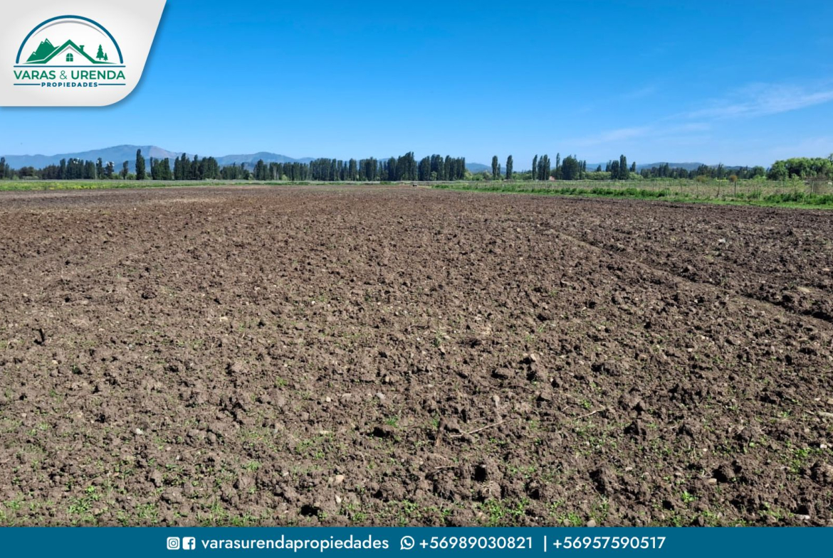 Se Vende campo de 44 hectáreas planas de riego en Villa Alegre, VII Región