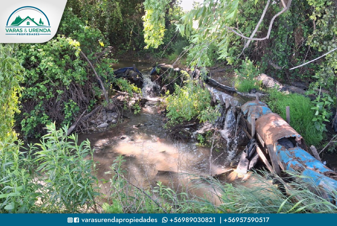 Se Vende campo de 44 hectáreas planas de riego en Villa Alegre, VII Región
