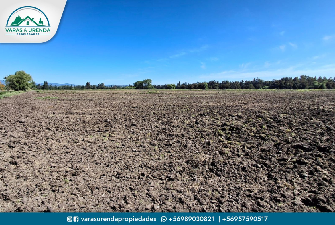 Se Vende campo de 44 hectáreas planas de riego en Villa Alegre, VII Región