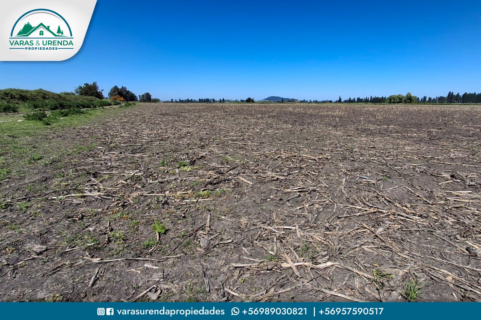 Se Vende campo de 44 hectáreas planas de riego en Villa Alegre, VII Región